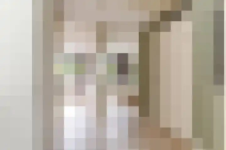 Annie M.G. Schmidtweg 90 Almere thumbnail 52