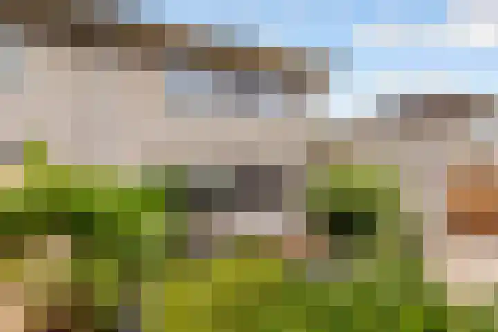 Annie M.G. Schmidtweg 90 Almere thumbnail 56