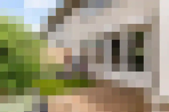 Annie M.G. Schmidtweg 90 Almere thumbnail 58