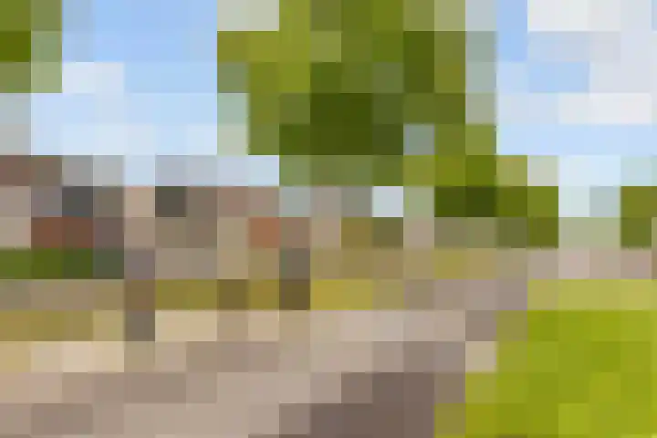 Annie M.G. Schmidtweg 90 Almere thumbnail 79