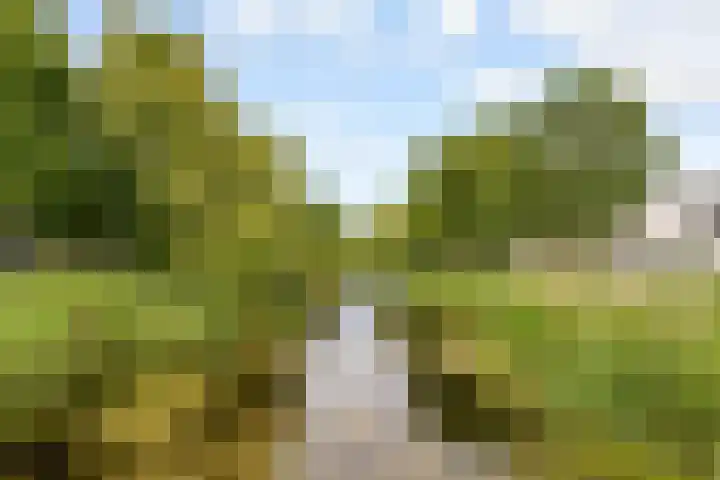 Annie M.G. Schmidtweg 90 Almere thumbnail 81