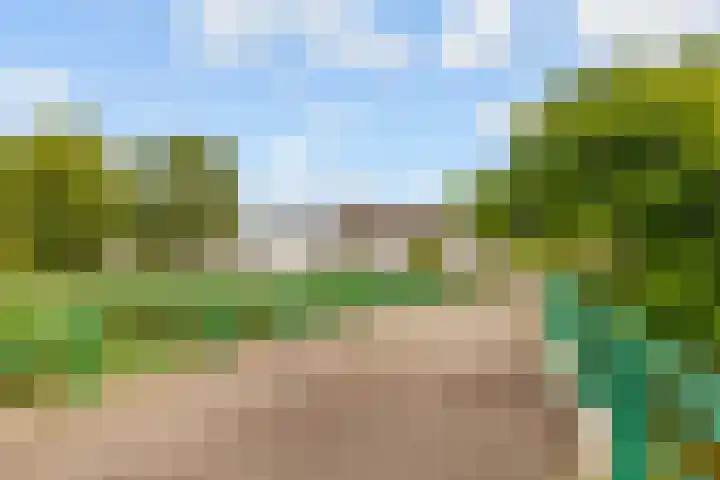 Annie M.G. Schmidtweg 90 Almere thumbnail 82