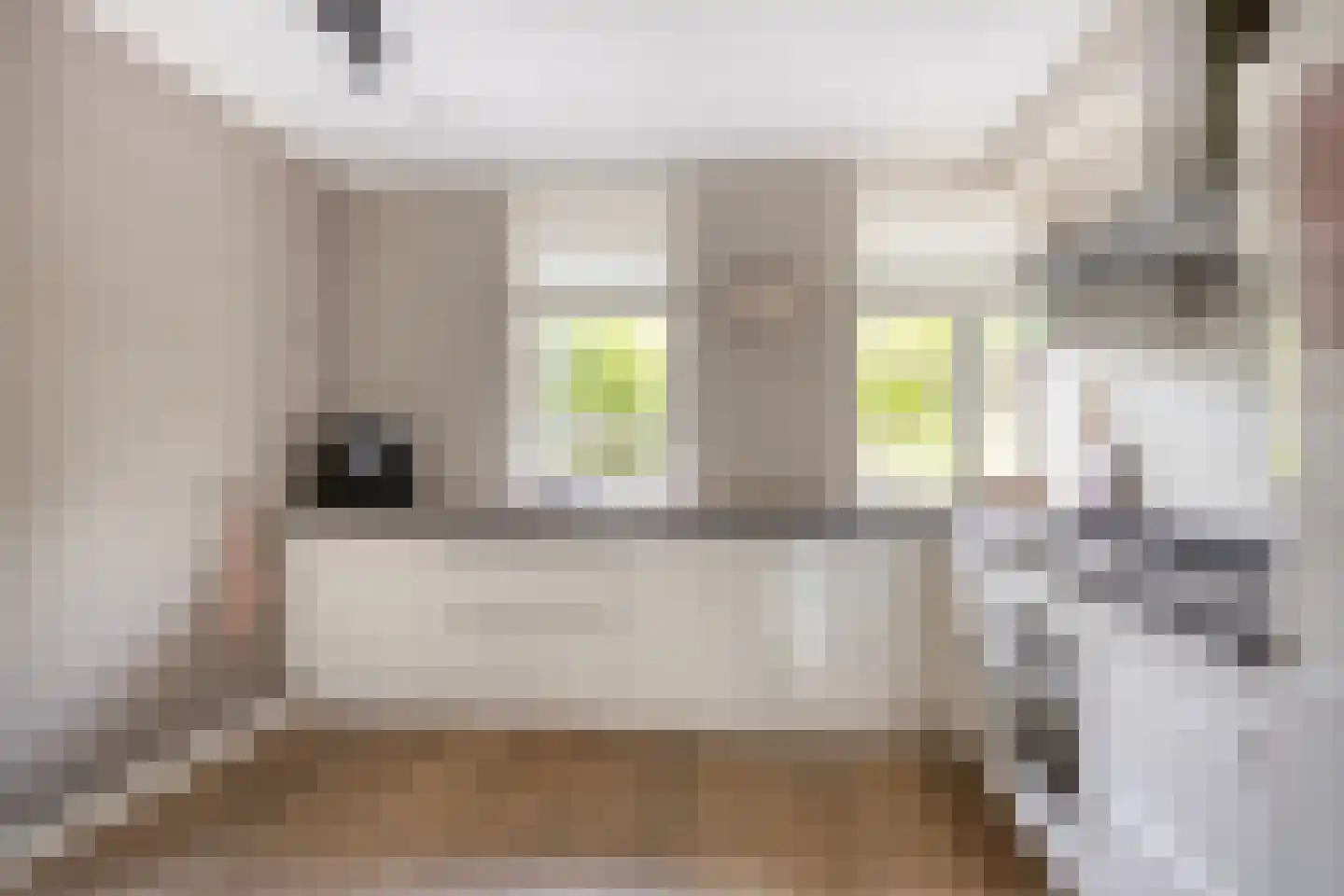 Annie Mankes-Zernikestraat 11 Hoofddorp thumbnail 13