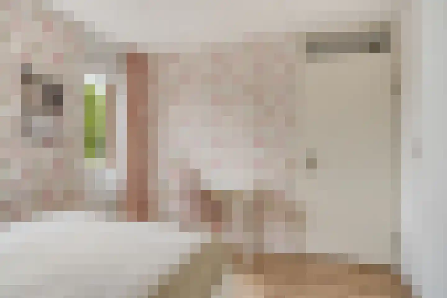 Annie Mankes-Zernikestraat 11 Hoofddorp thumbnail 20