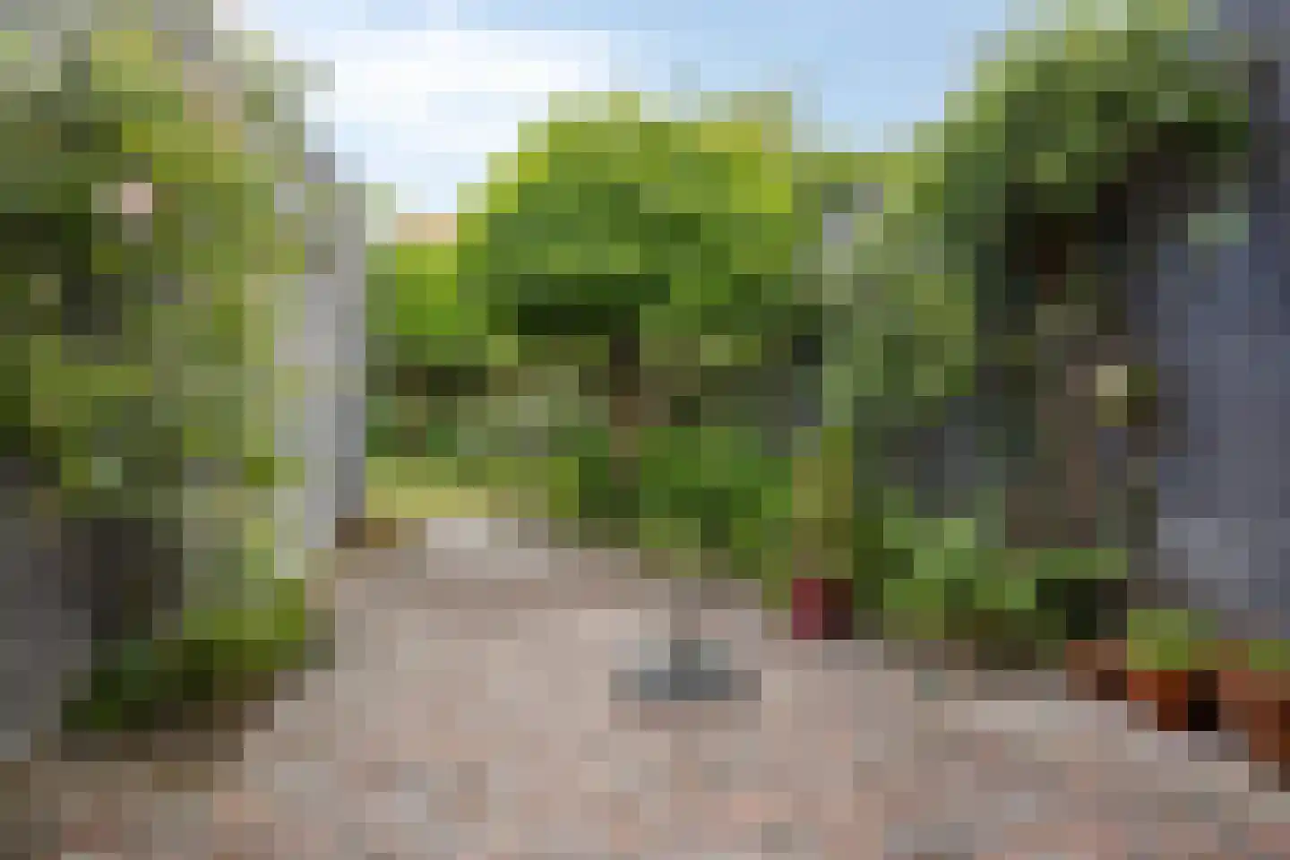 Annie MG Schmidtsingel 114 Kapelle thumbnail 5