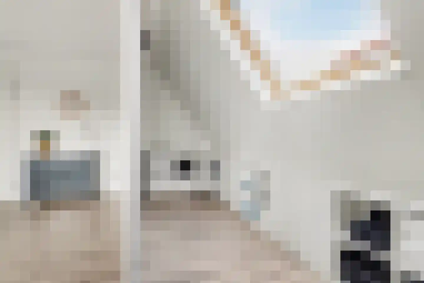 Annie MG Schmidtsingel 88 Kapelle thumbnail 30