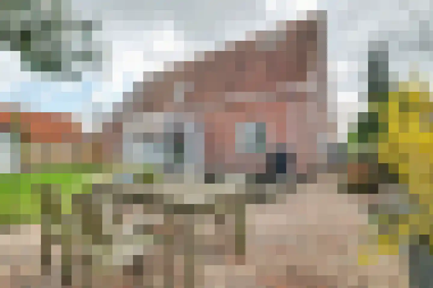 Annie MG Schmidtsingel 88 Kapelle thumbnail 42