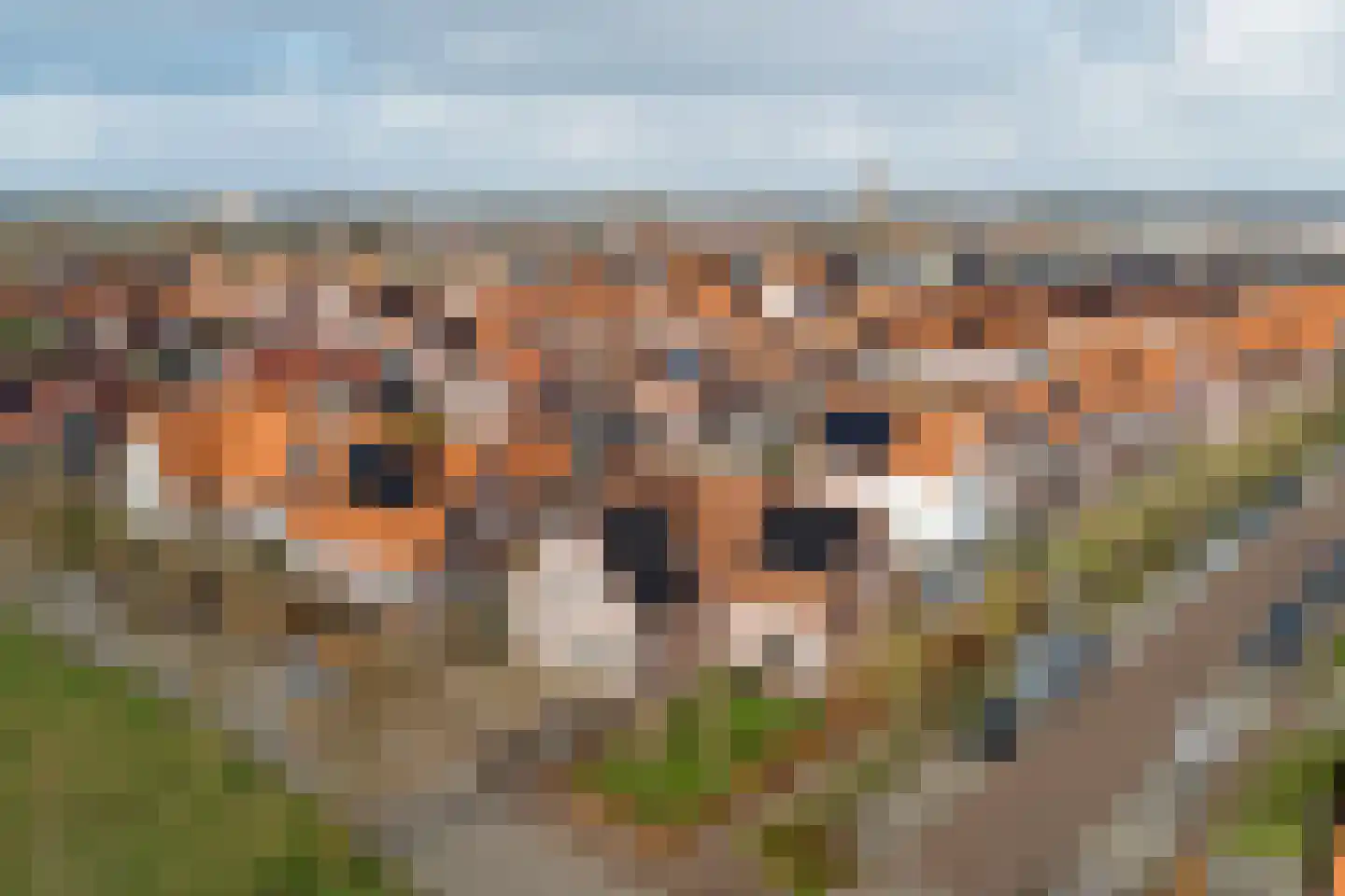 Annie MG Schmidtsingel 88 Kapelle thumbnail 48