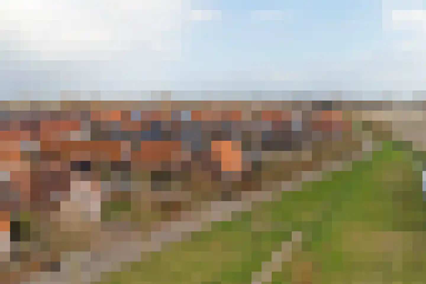 Annie MG Schmidtsingel 88 Kapelle thumbnail 49