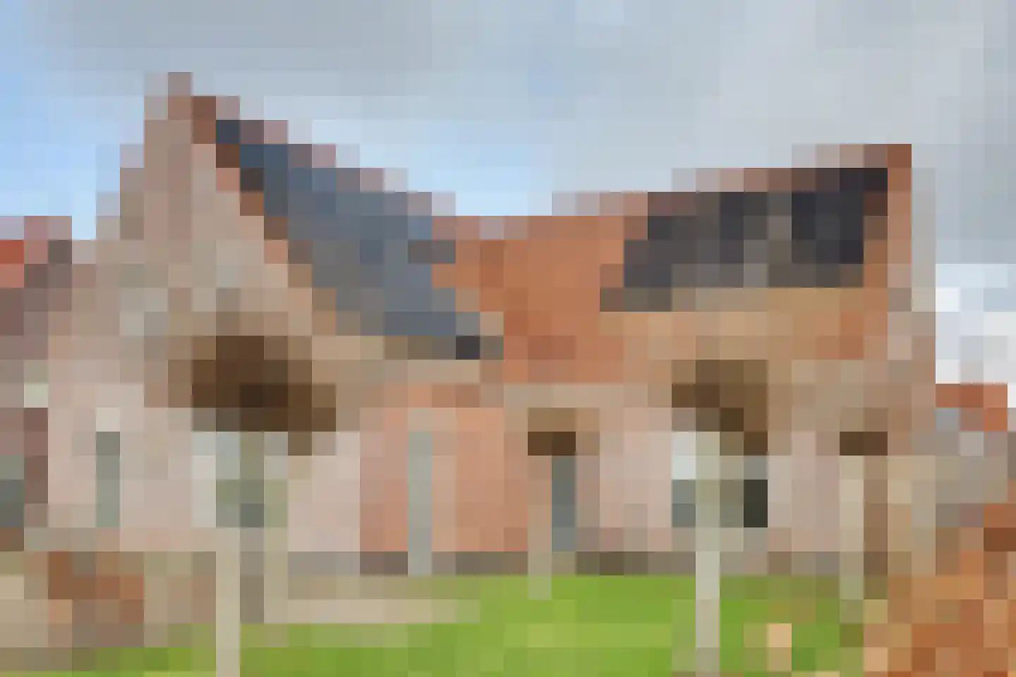 Annie MG Schmidtsingel 88 Kapelle thumbnail 5