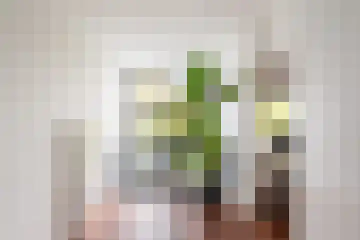 Annie Romein-Verschoorkade 3 Vlaardingen thumbnail 23