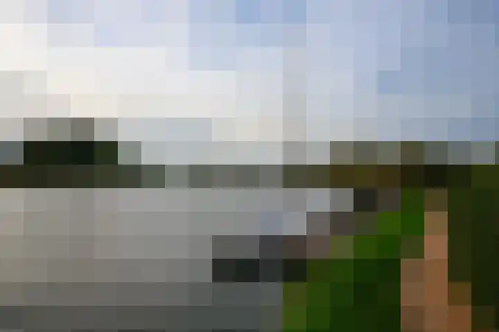 Annie Romein-Verschoorkade 3 Vlaardingen thumbnail 45