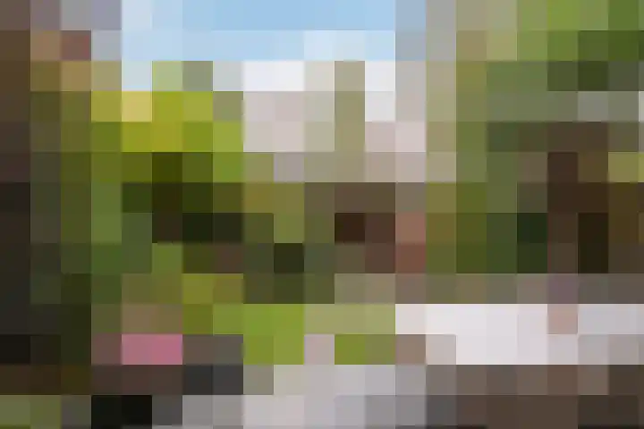 Annie Romein-Verschoorkade 3 Vlaardingen thumbnail 6