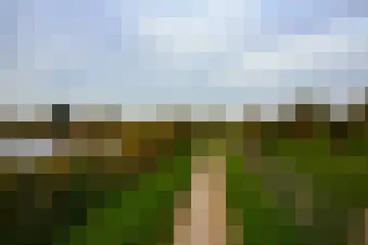Annie Romein-Verschoorkade 3 Vlaardingen thumbnail 7