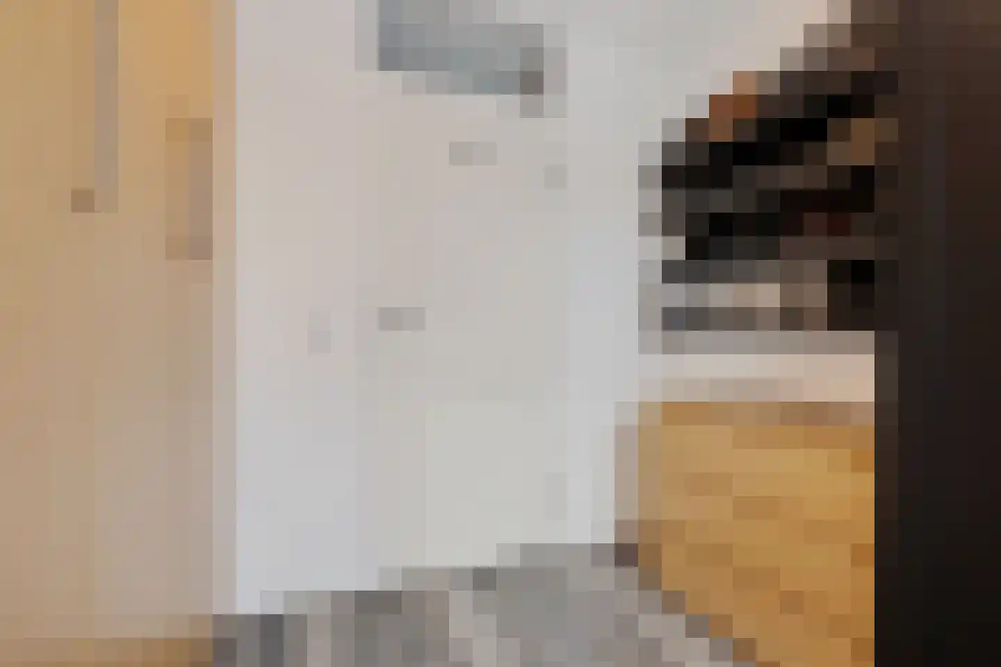 Annie Romein-Verschoorstraat 19 Eindhoven thumbnail 28