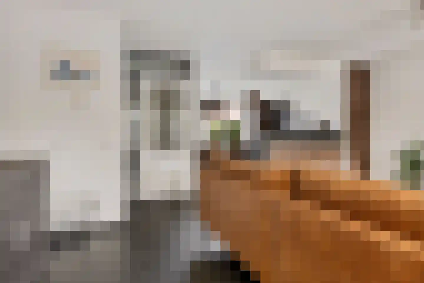 Annie Romein-Verschoorstraat 19 Eindhoven thumbnail 9