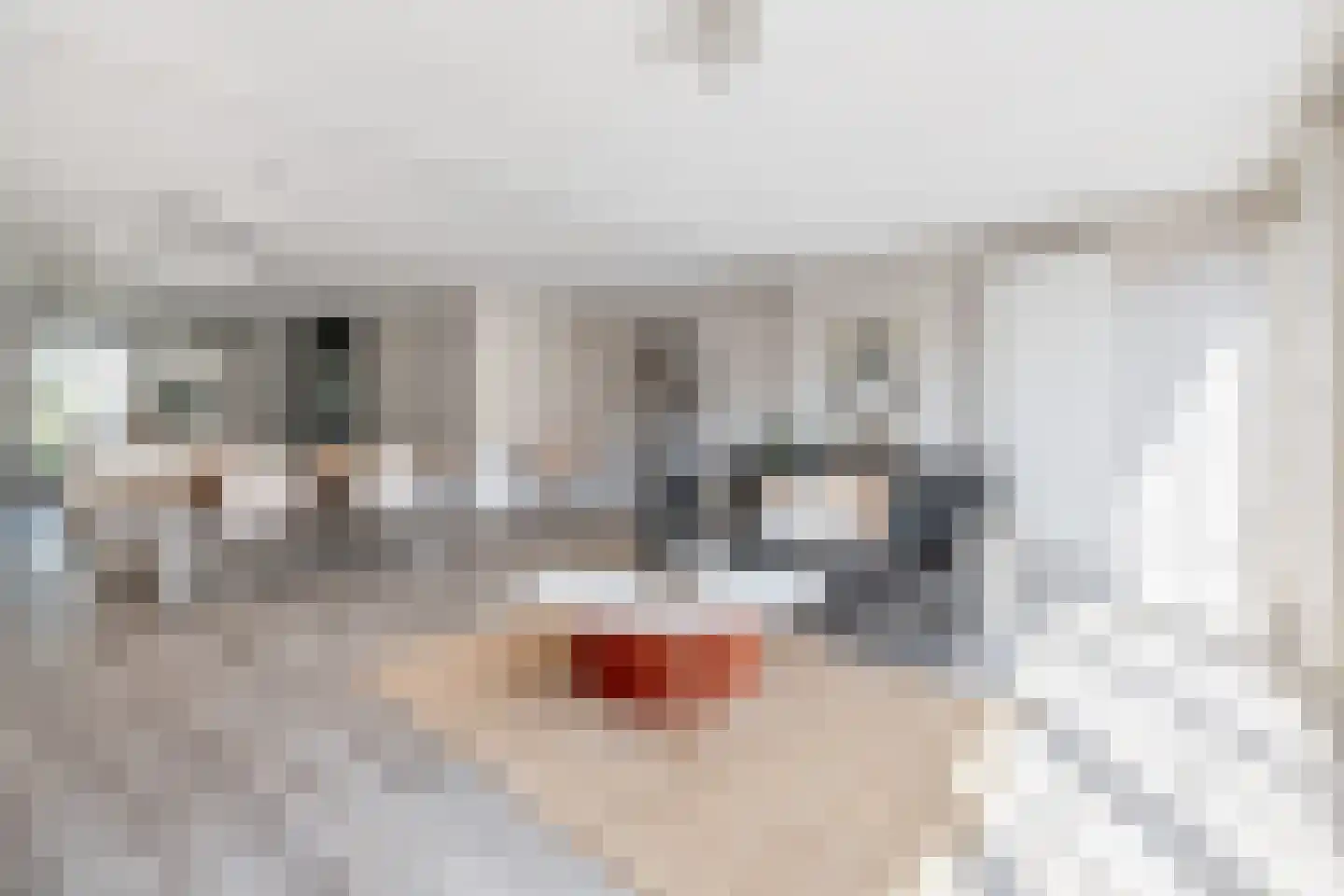 Annie Romeinplein 32 Rijen thumbnail 7