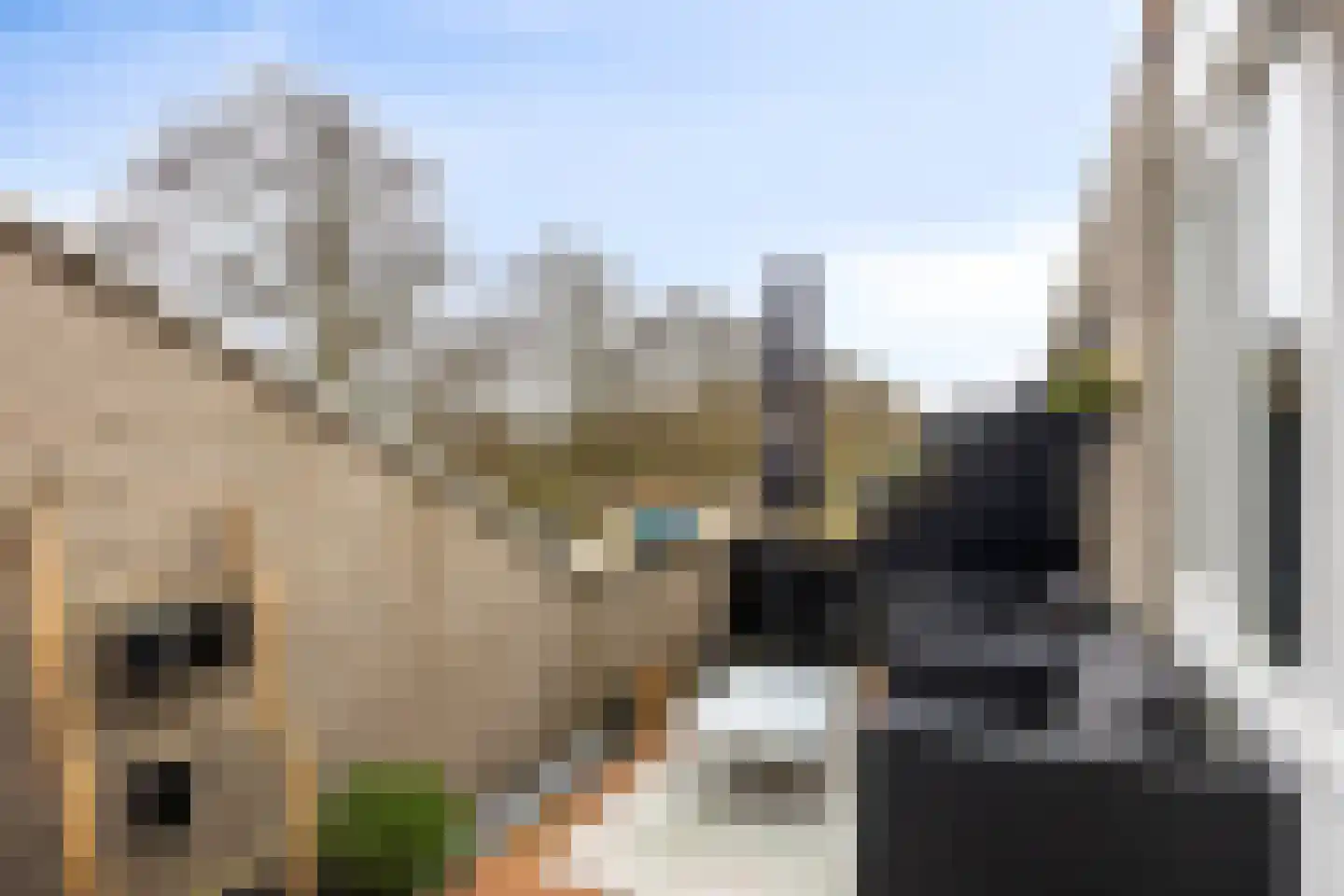 Annie Romeinsingel 40 Leiden thumbnail 28