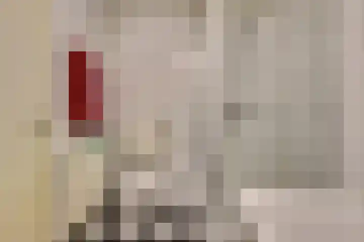 Annie Romeinstraat 16 Venray thumbnail 17