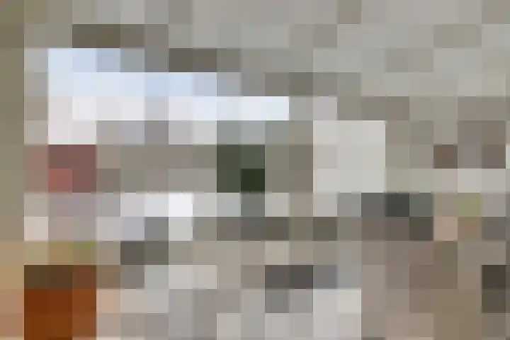 Annie Romeinstraat 16 Venray thumbnail 21