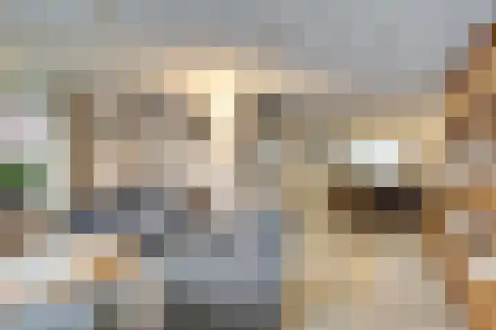 Annie Romeinstraat 16 Venray thumbnail 7