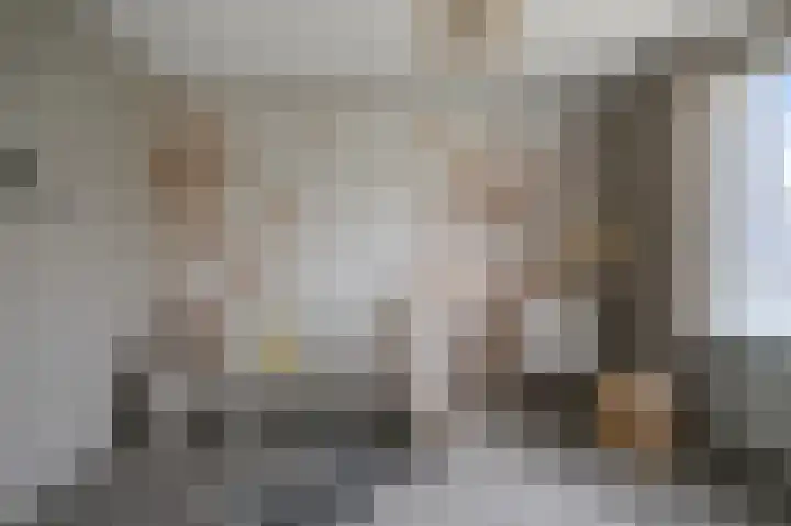 Annie Romeinstraat 2 Heemskerk thumbnail 22