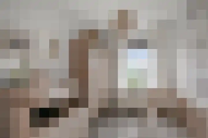 Annie Romeinstraat 2 Heemskerk thumbnail 23