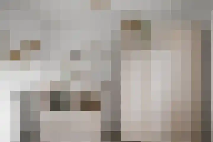 Annie Romeinstraat 2 Heemskerk thumbnail 24