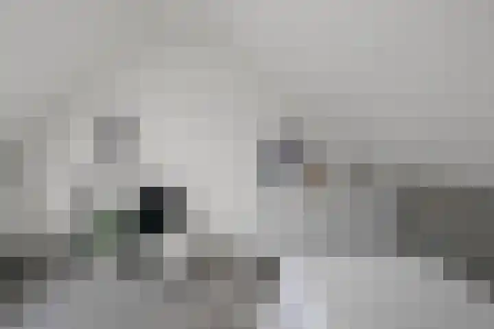 Annie Romeinstraat 2 Heemskerk thumbnail 34