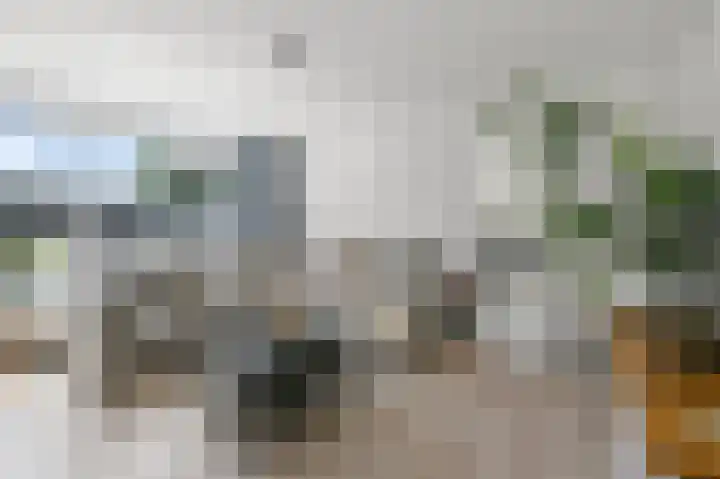 Annie Romeinstraat 2 Heemskerk thumbnail 5
