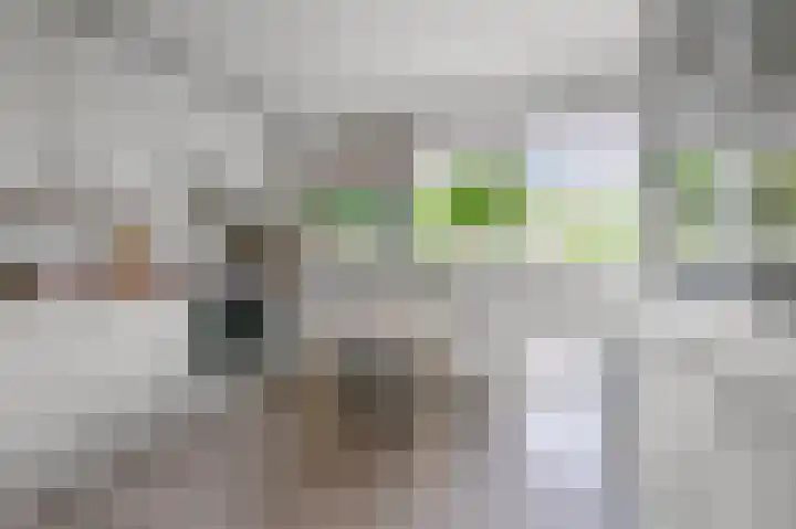 Annie Romeinstraat 2 Heemskerk thumbnail 6