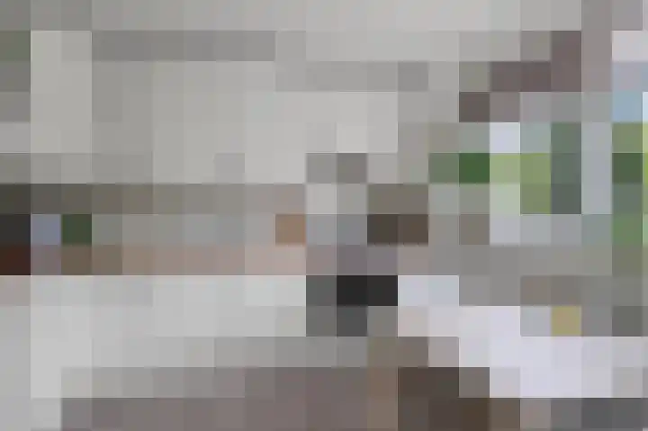 Annie Romeinstraat 2 Heemskerk thumbnail 7