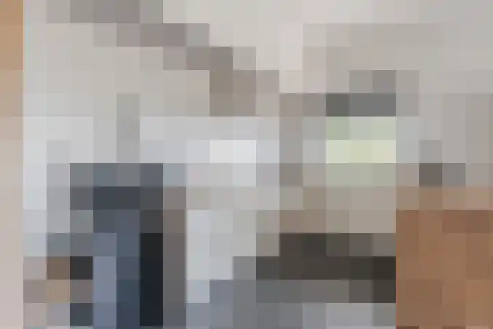 Annie Romeinstraat 22 Hoofddorp thumbnail 12