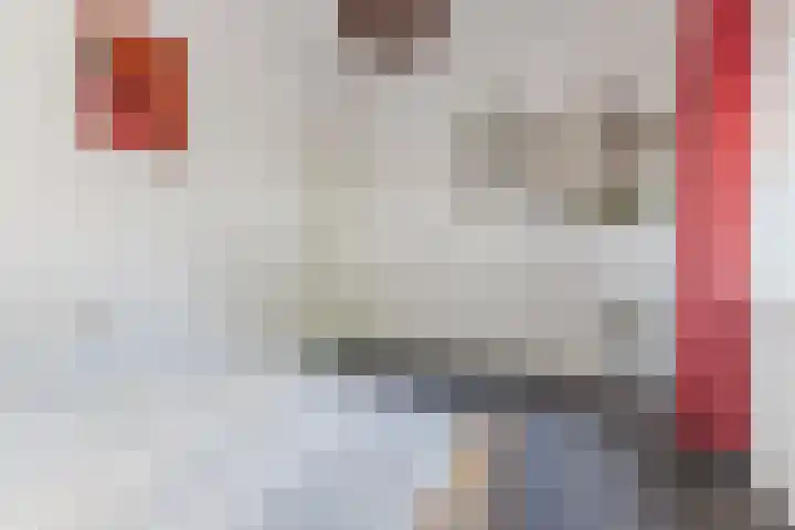 Annie Romeinstraat 22 Hoofddorp thumbnail 24
