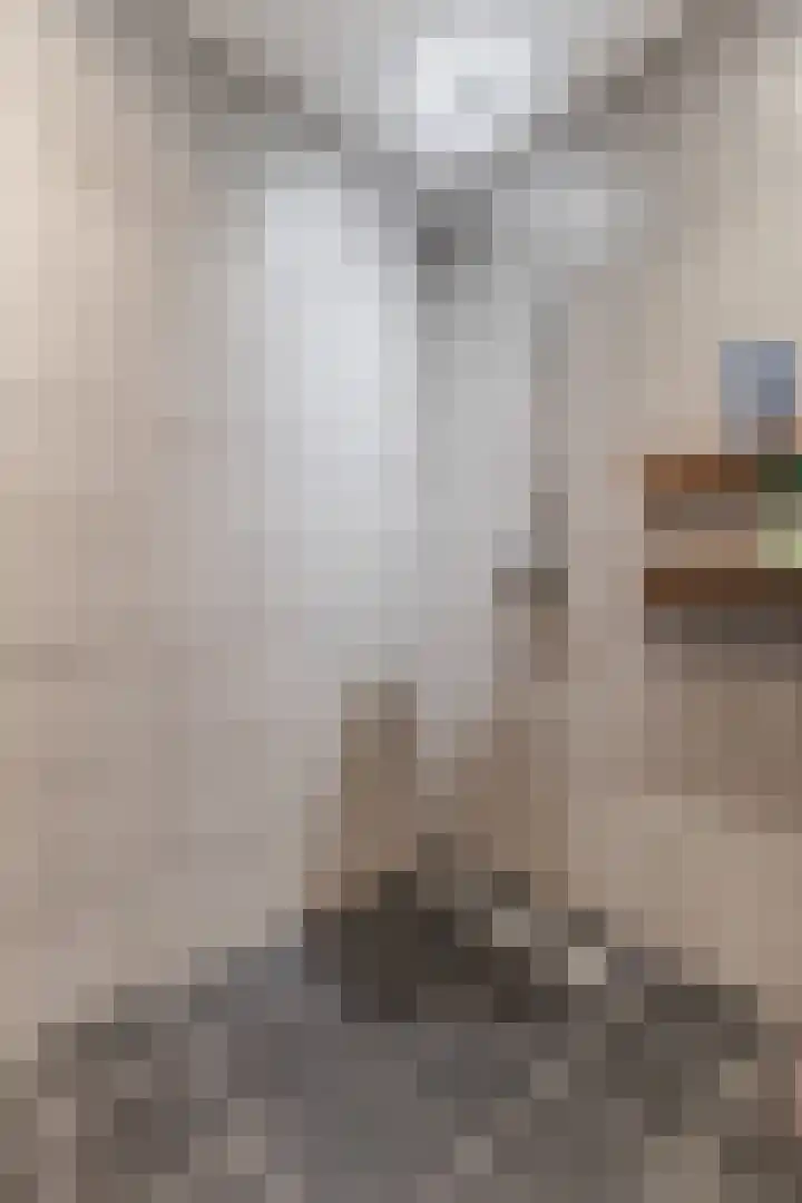 Annie Romeinstraat 22 Hoofddorp thumbnail 33