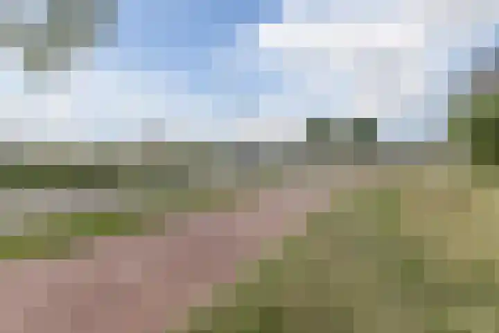 Annie Romeinstraat 22 Hoofddorp thumbnail 37