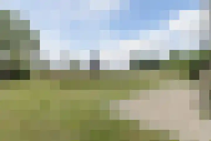 Annie Romeinstraat 22 Hoofddorp thumbnail 38