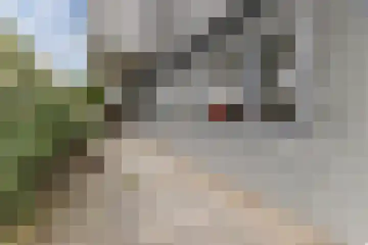 Annie Romeinstraat 22 Hoofddorp thumbnail 49
