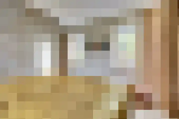 Annie Romeinstraat 8 Waalwijk thumbnail 13