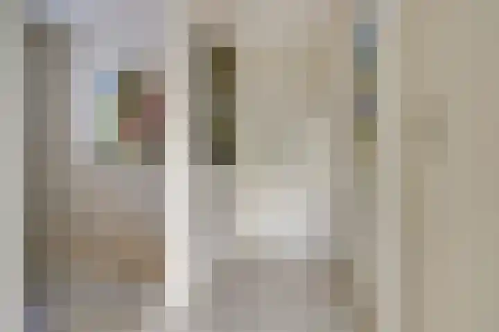 Annie Romeinstraat 8 Waalwijk thumbnail 17