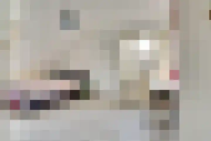 Annie Romeinstraat 8 Waalwijk thumbnail 19
