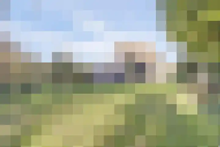 Annie Romeinstraat 8 Waalwijk thumbnail 29