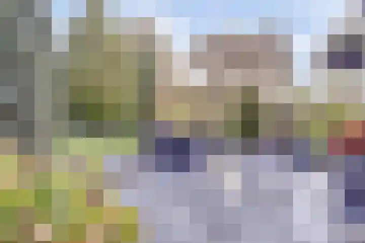 Annie Romeinstraat 8 Waalwijk thumbnail 32