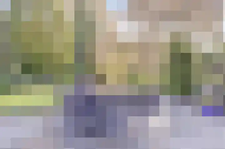 Annie Romeinstraat 8 Waalwijk thumbnail 33