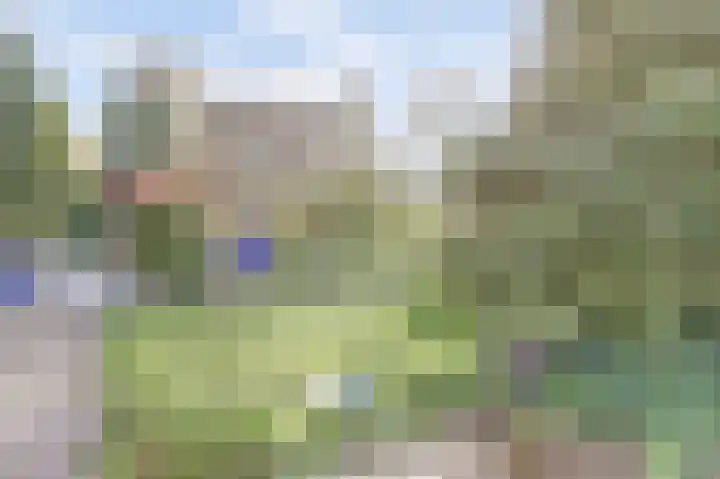 Annie Romeinstraat 8 Waalwijk thumbnail 36