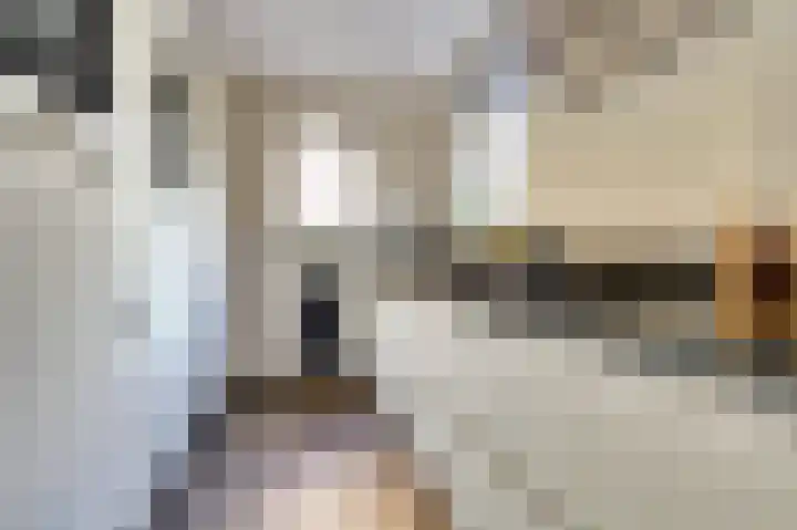 Annie Romeinstraat 8 Waalwijk thumbnail 4