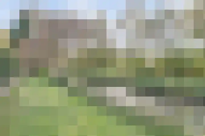 Annie Romeinstraat 8 Waalwijk thumbnail 40