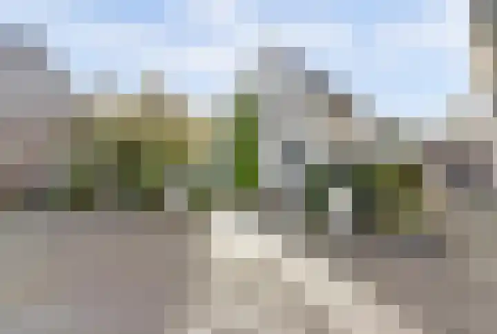 Annie Romeinstraat 8 Waalwijk thumbnail 42