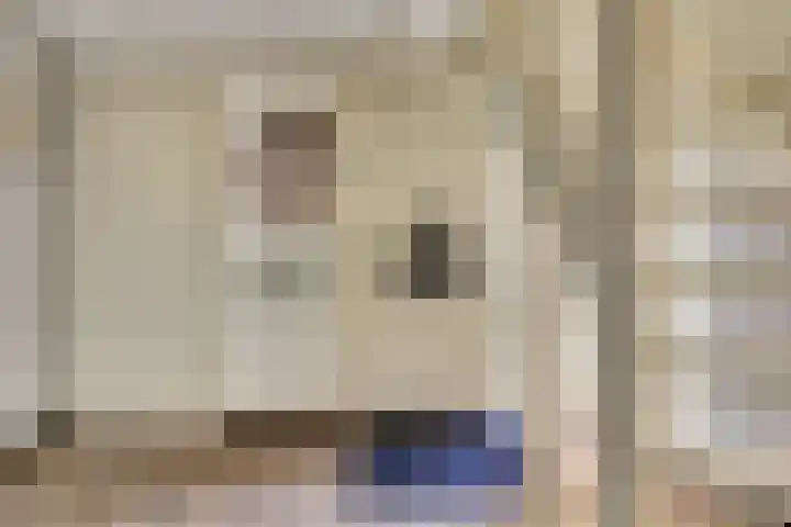Annie Romeinstraat 8 Waalwijk thumbnail 6