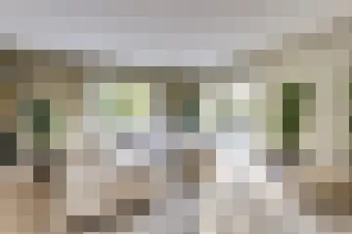 Annie Romeinstraat 8 Waalwijk thumbnail 7